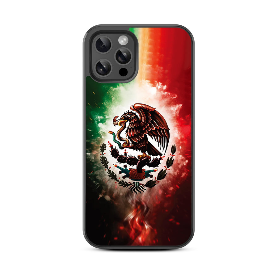 MyBat Design Lab Series Case for Apple iPhone 12 / 12 Pro (6.1) - Viva Mexico - MIP12PCSLESM179-3.jpg