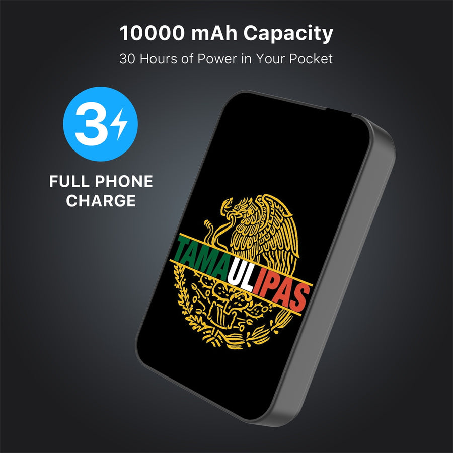 MyBat Design Lab 10000mAh Magnetic Wireless Power Bank - Black - Tamaulipas - MPBBAT141-BK-053-8.jpg