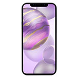 Device > Apple > iPhone 12 Pro Max