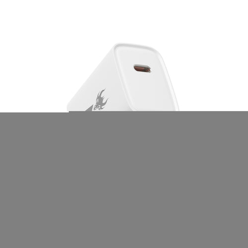 AmpNergy PowerSurge 20W USB-C Fast Wall Charger - White - ACGTRAC25PW-2.jpg