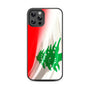 MyBat Design Lab Series Case for Apple iPhone 12 / 12 Pro (6.1) - Lebanese Flag - MIP12PCSLESM033-3.jpg