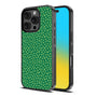 MyBat Design Lab Series Case for Apple iPhone 16 Pro - Lucky Clover - MIP16PCSLESM466-2.jpg