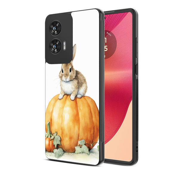 MyBat Design Lab Series Case for Motorola Moto G Stylus 5G (2024) - Harvest Hare - MMGS5G24CSLESM453-2.jpg