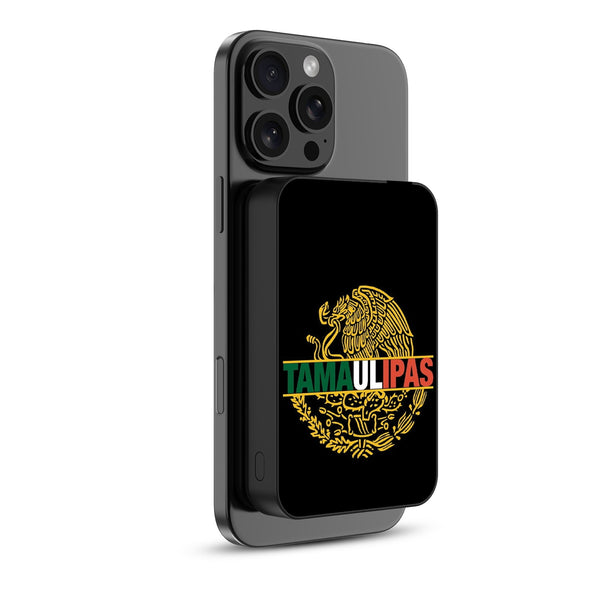 MyBat Design Lab 10000mAh Magnetic Wireless Power Bank - Black - Tamaulipas - MPBBAT141-BK-053-2.jpg