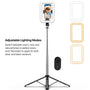 MyBat Pro Spotlight Tripod Stainless Steel Stand with LED Light - Silver - RCLSEL018-4.jpg